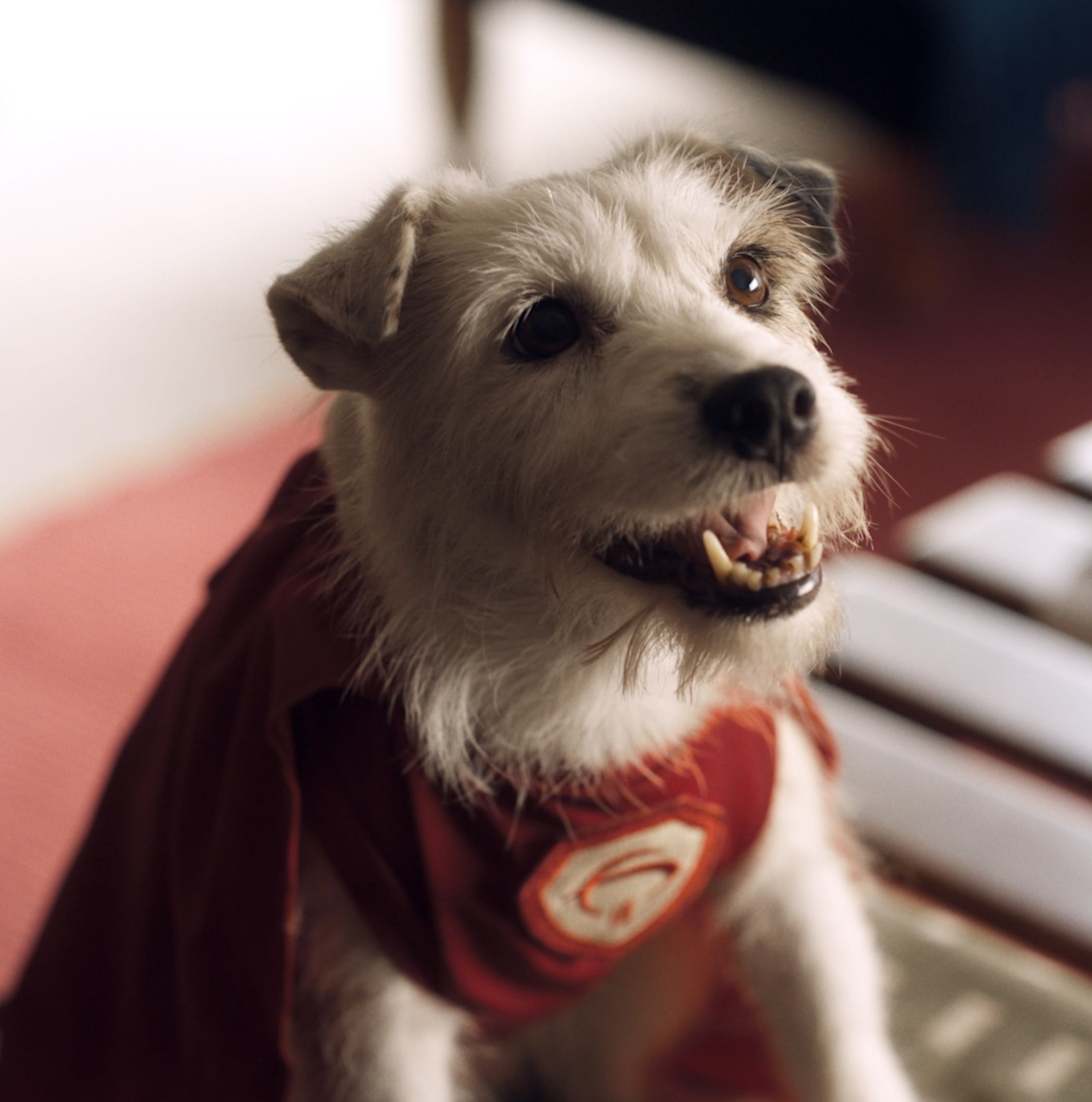 Bradesco | Super Pix Melhor Amigo